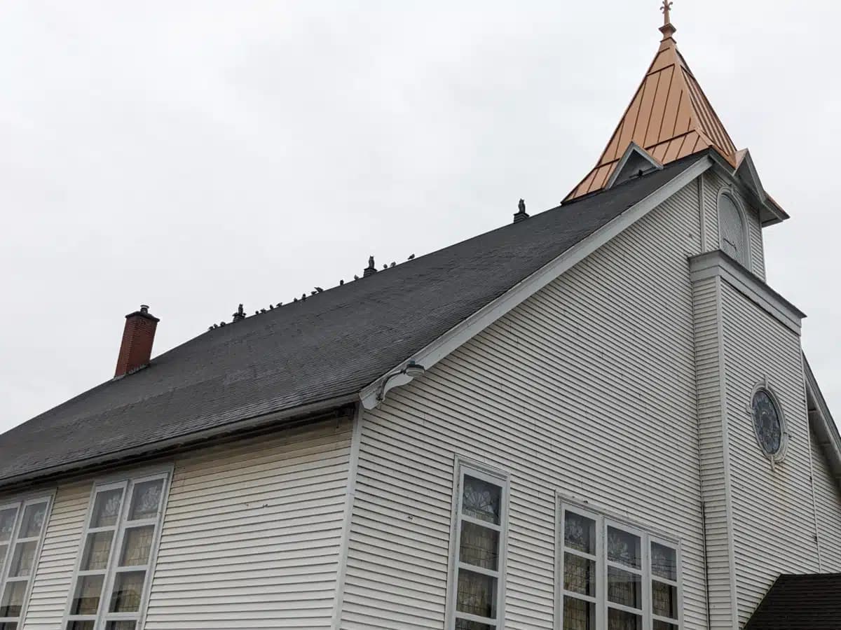 Healing Hearts LLC - Thumbnail 2