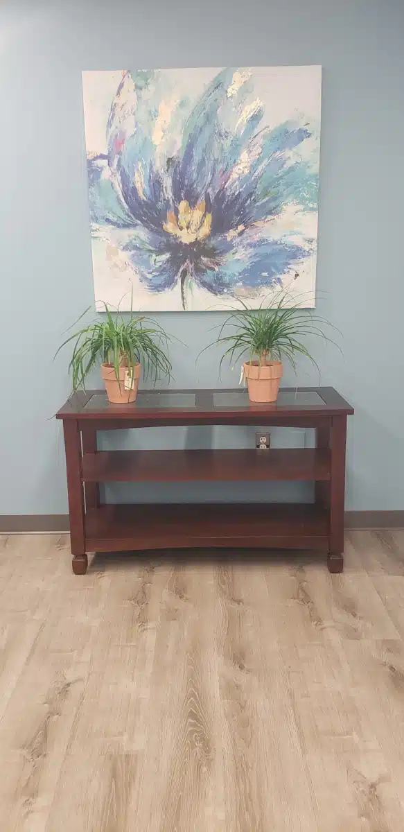 Healthy Lives LLC - Thumbnail 8