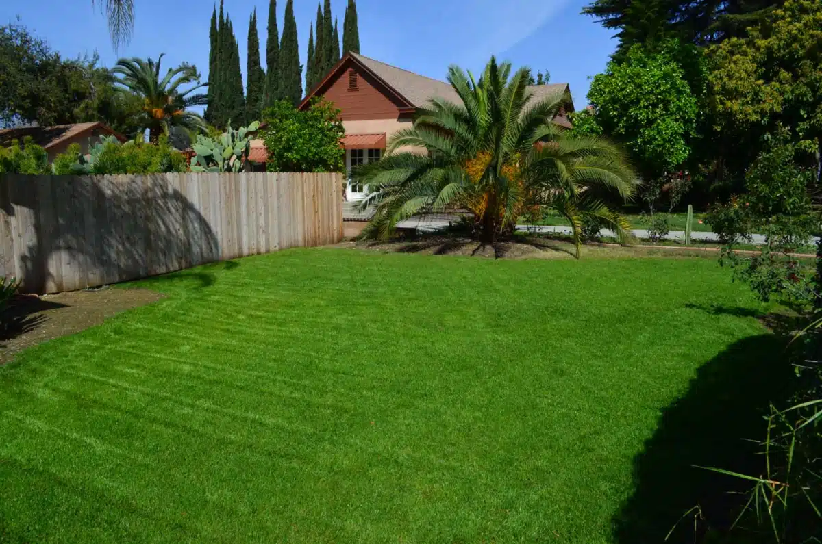 His House Palm Recovery - Thumbnail 3