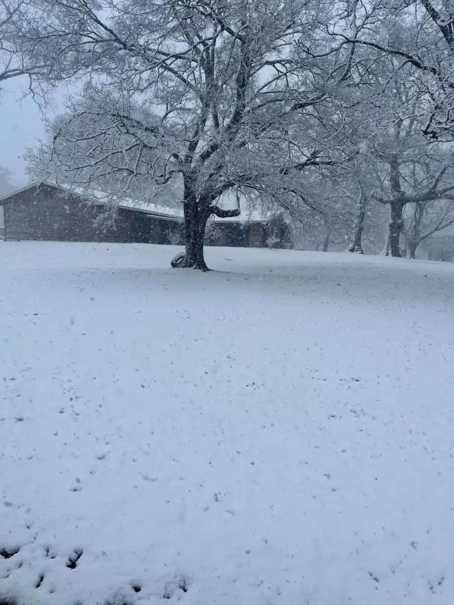 Hollow Creek Treatment Center LLC