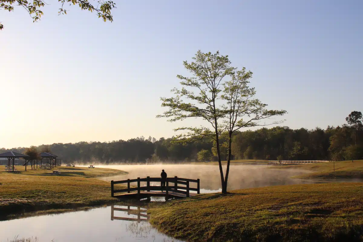 Home of Grace - Thumbnail 3