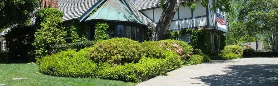 Hope by the Sea - Thumbnail 8