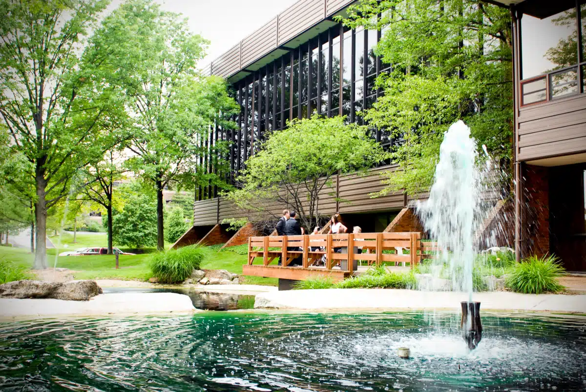 INSynergy Treatment Program