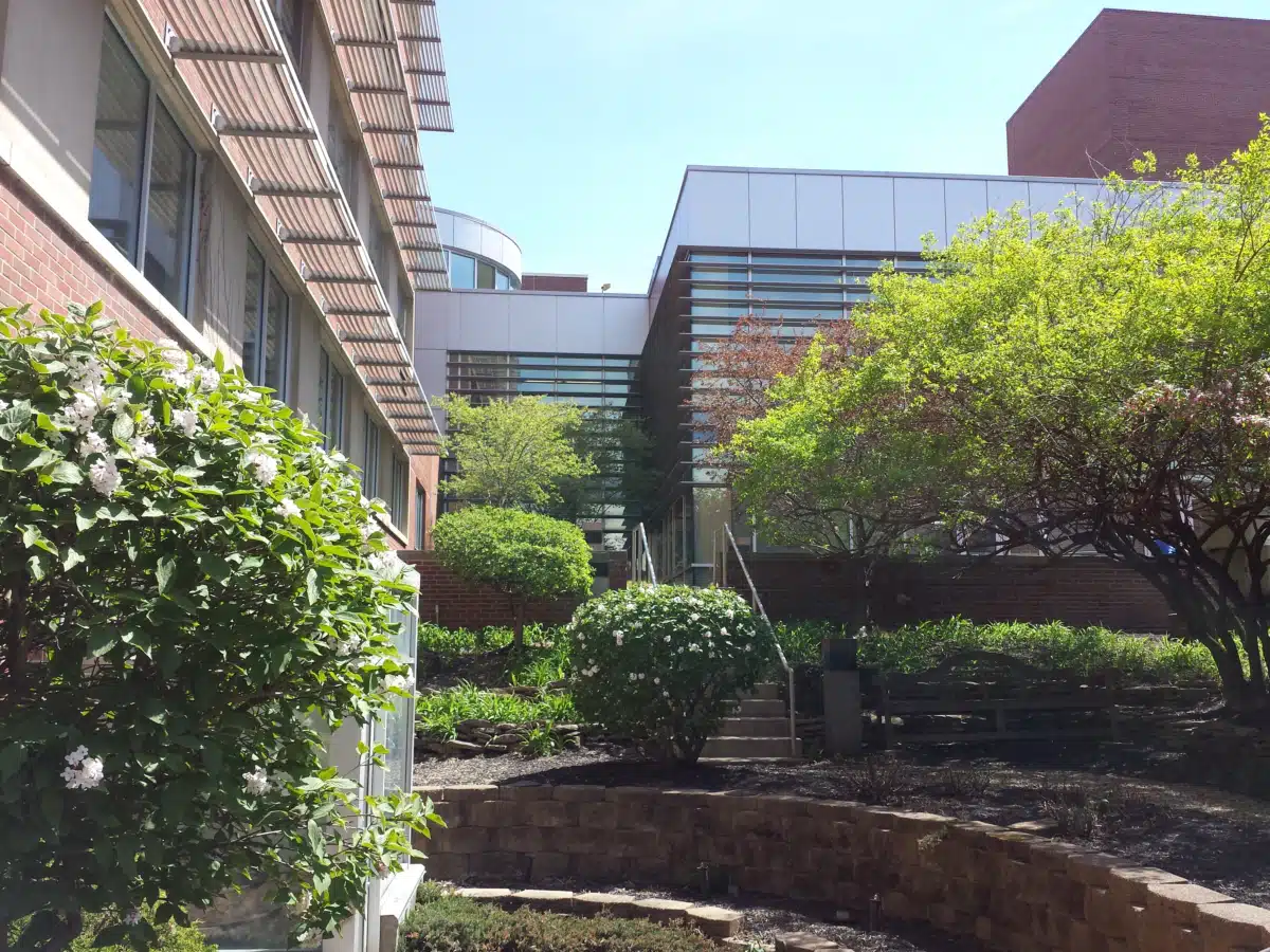 IU Health Ball - Thumbnail 8