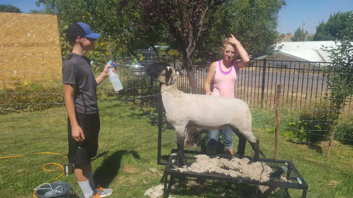 Independence Place - Thumbnail 2