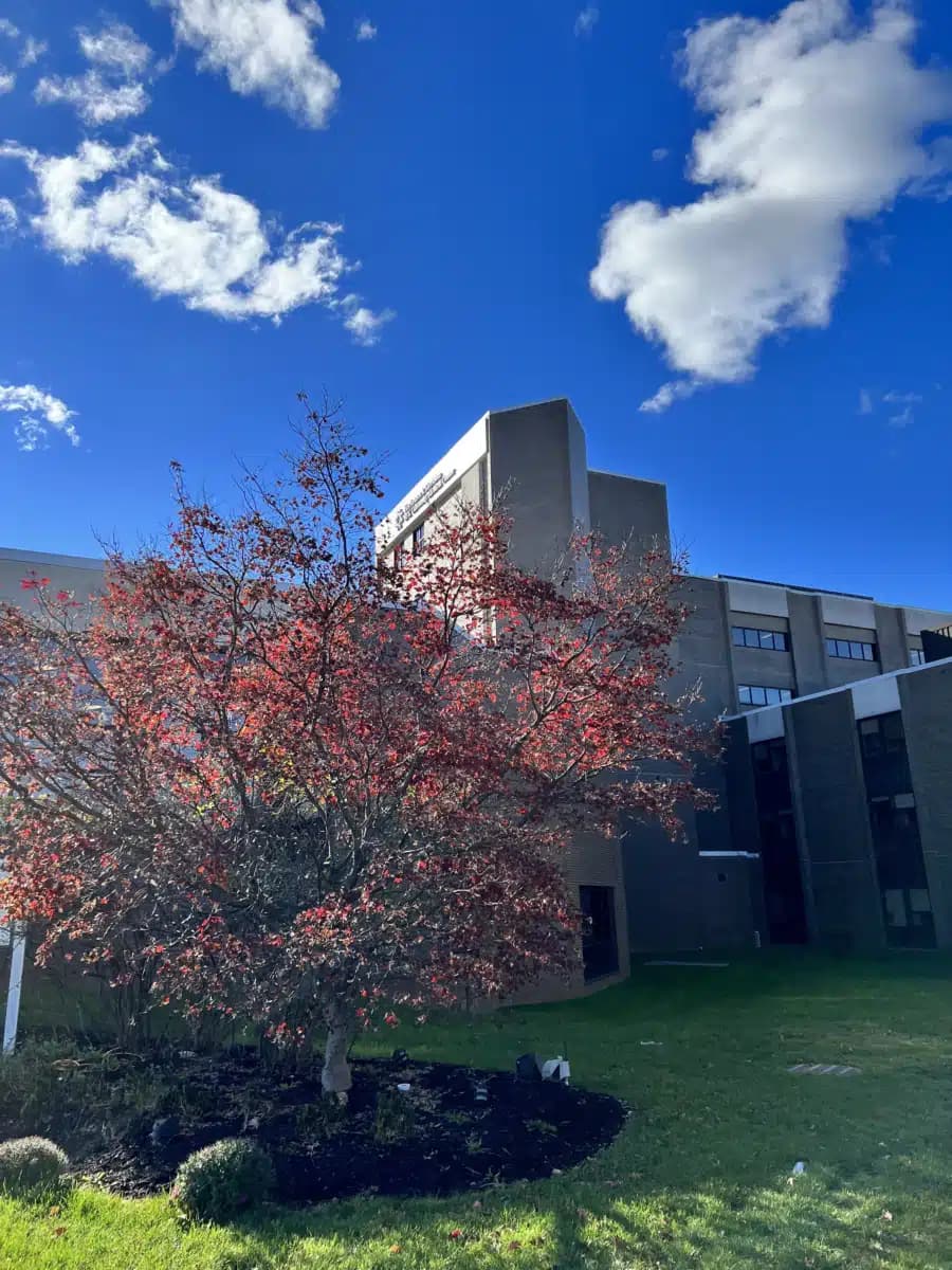 JFK University Medical Center - Thumbnail 8