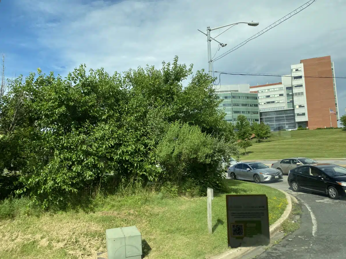 JH Bayview Medical Center - Thumbnail 8