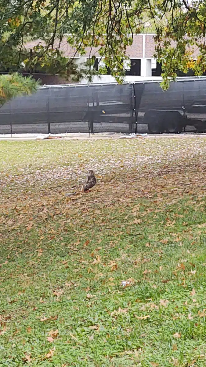 James H Quillen VAMC - Thumbnail 10