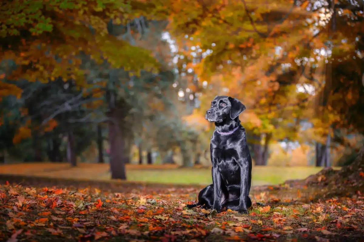 James H Quillen VAMC - Thumbnail 9