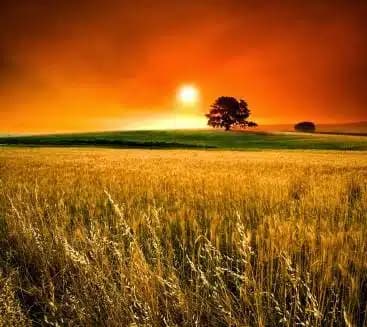 Juanita Center LLC - Thumbnail 7