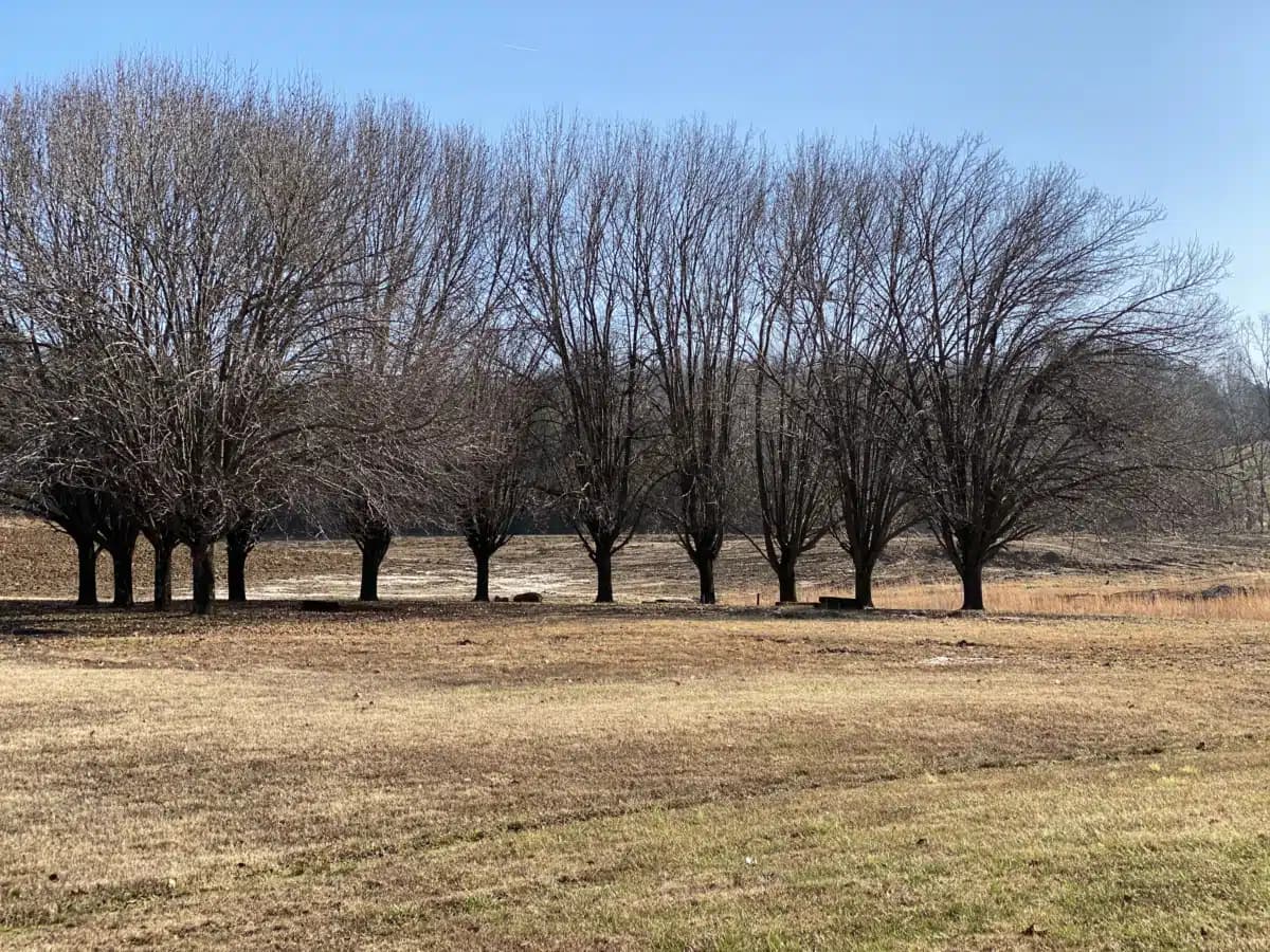 Kentucky Christian Recovery - Thumbnail 6