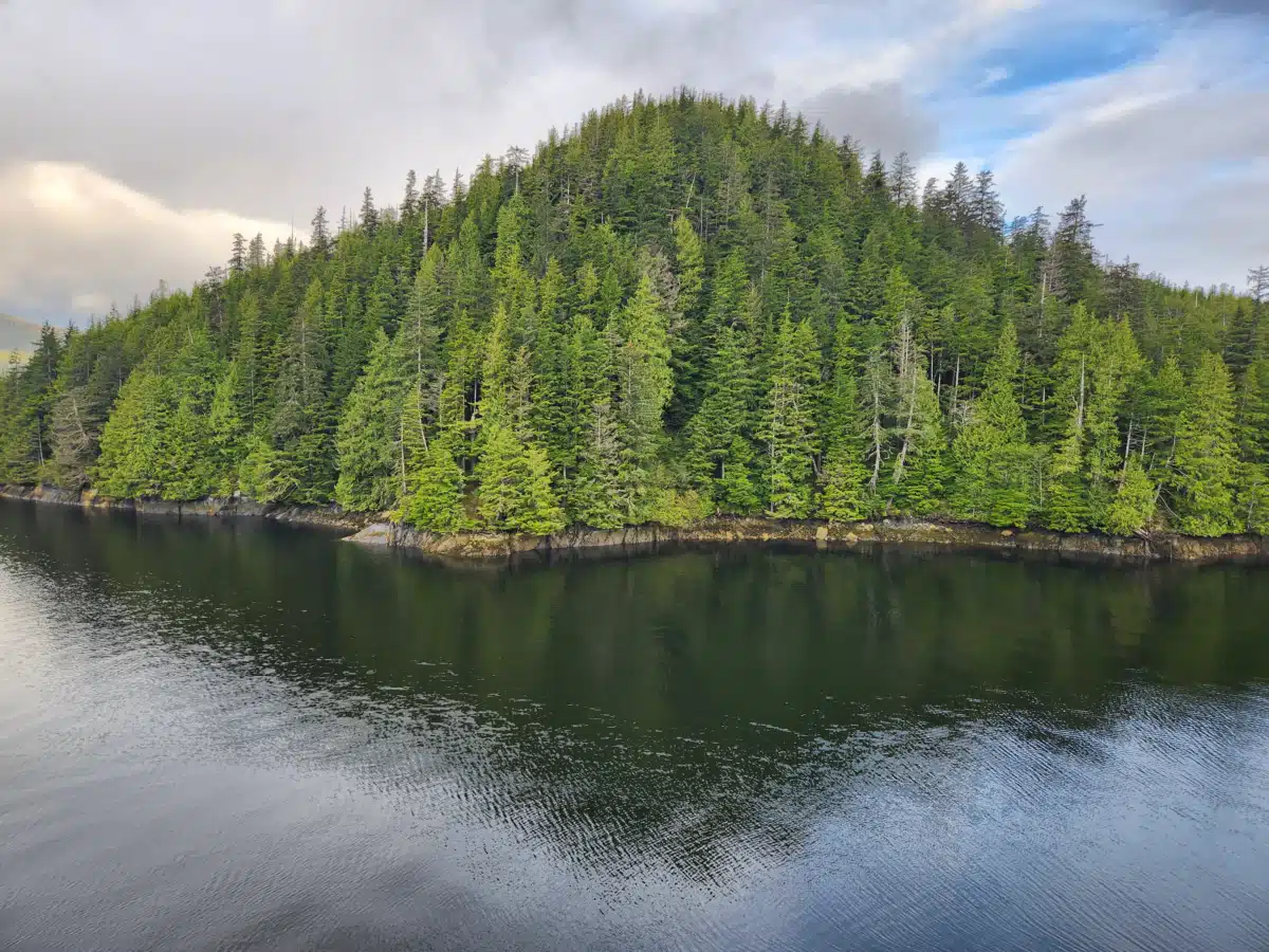 Ketchikan Indian Community - Thumbnail 7