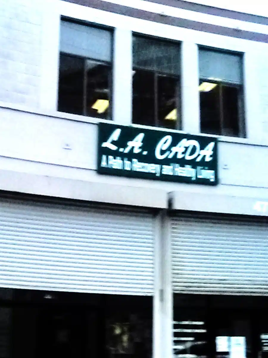 LA Centers for Alcohol and Drug Abuse - Thumbnail 3