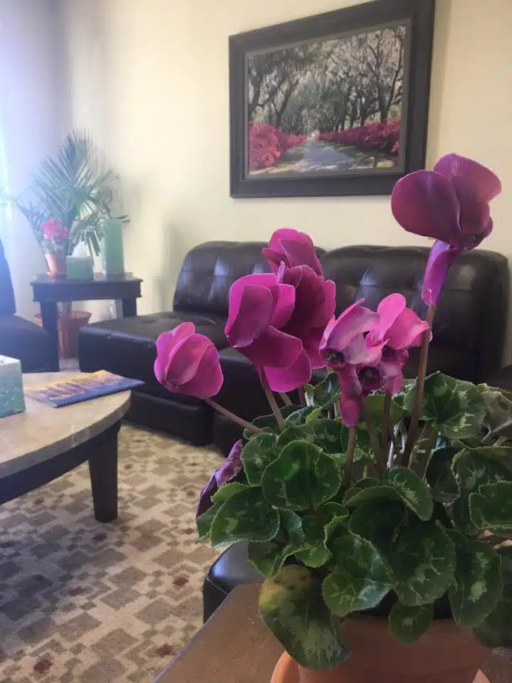 La Jolla Healing Center - Hero Image