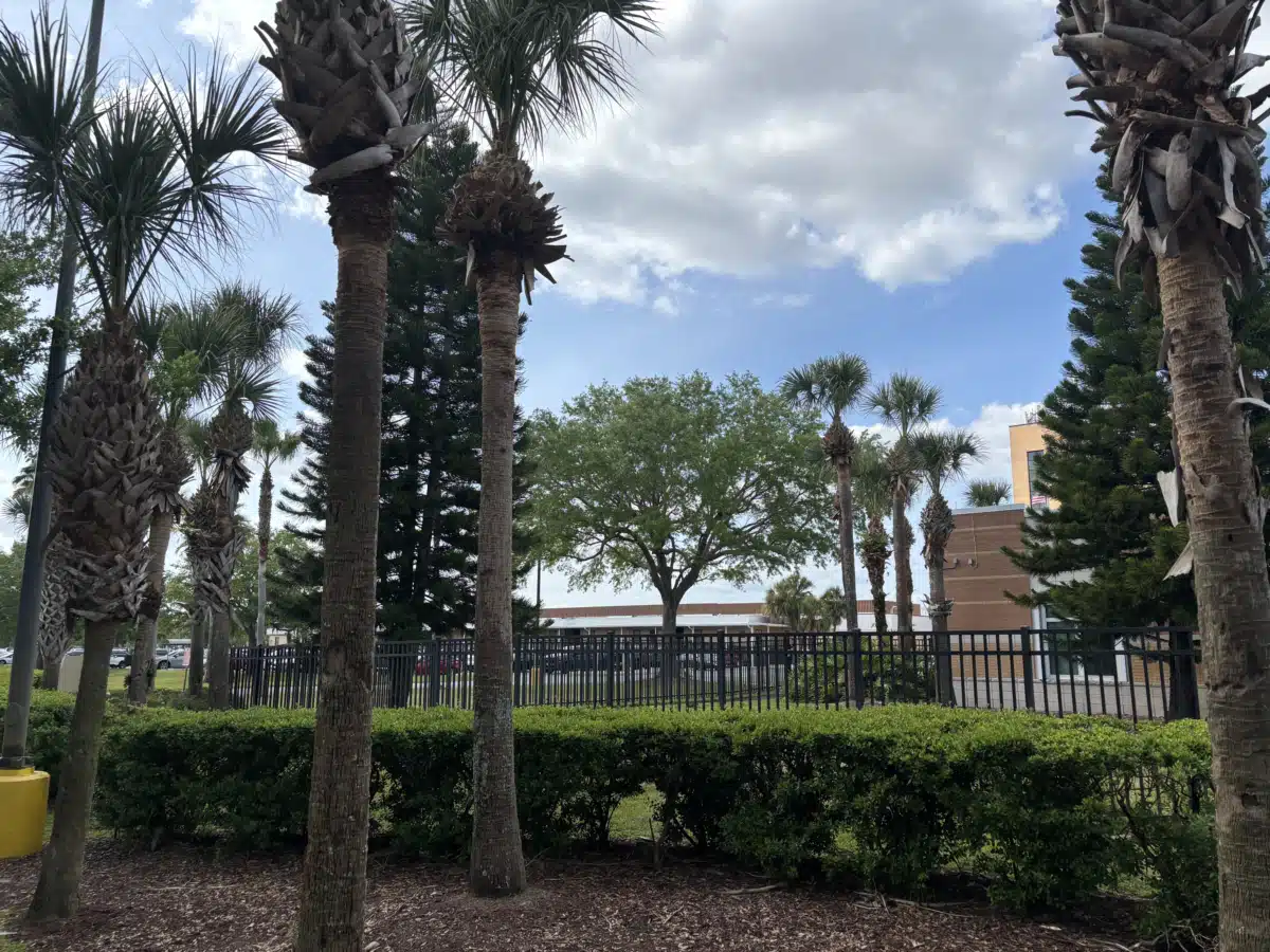 Lake Baldwin VA Clinic - Thumbnail 3