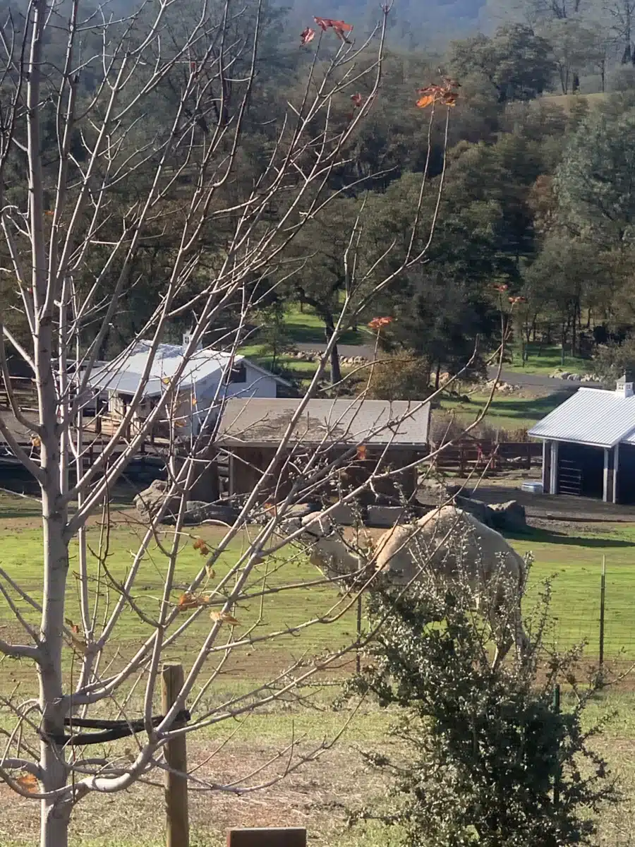 Lakes Treatment Center Inc - Thumbnail 10