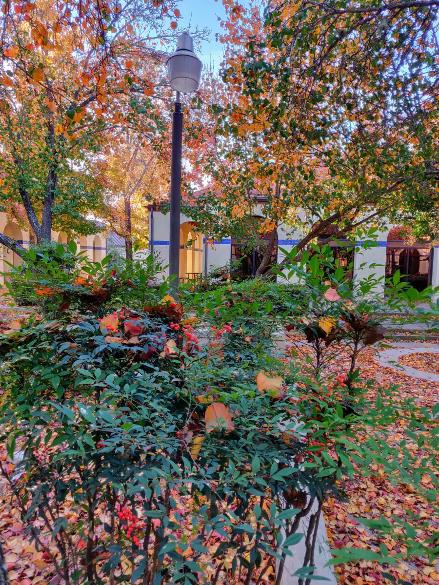 Laurel Ridge Treatment Center - Thumbnail 4