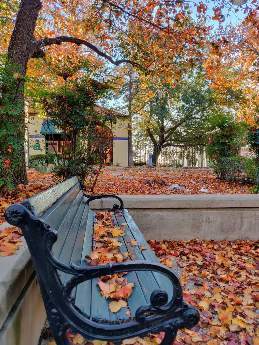 Laurel Ridge Treatment Center - Thumbnail 9