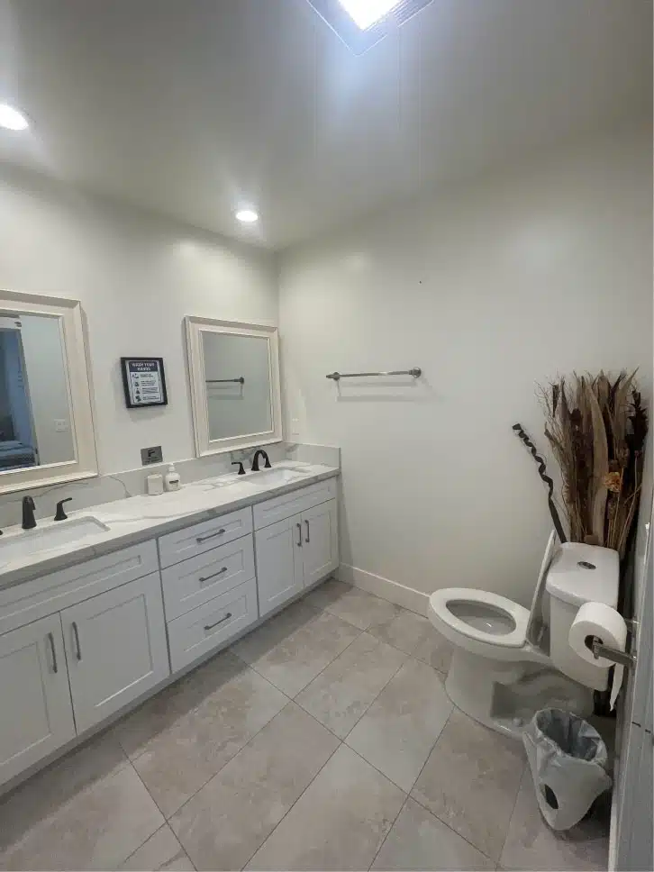 Lion Recovery - Thumbnail 5