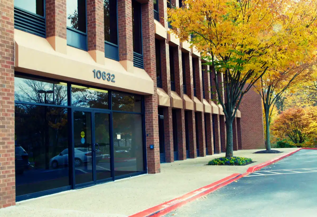 Lionrock Recovery - Thumbnail 4