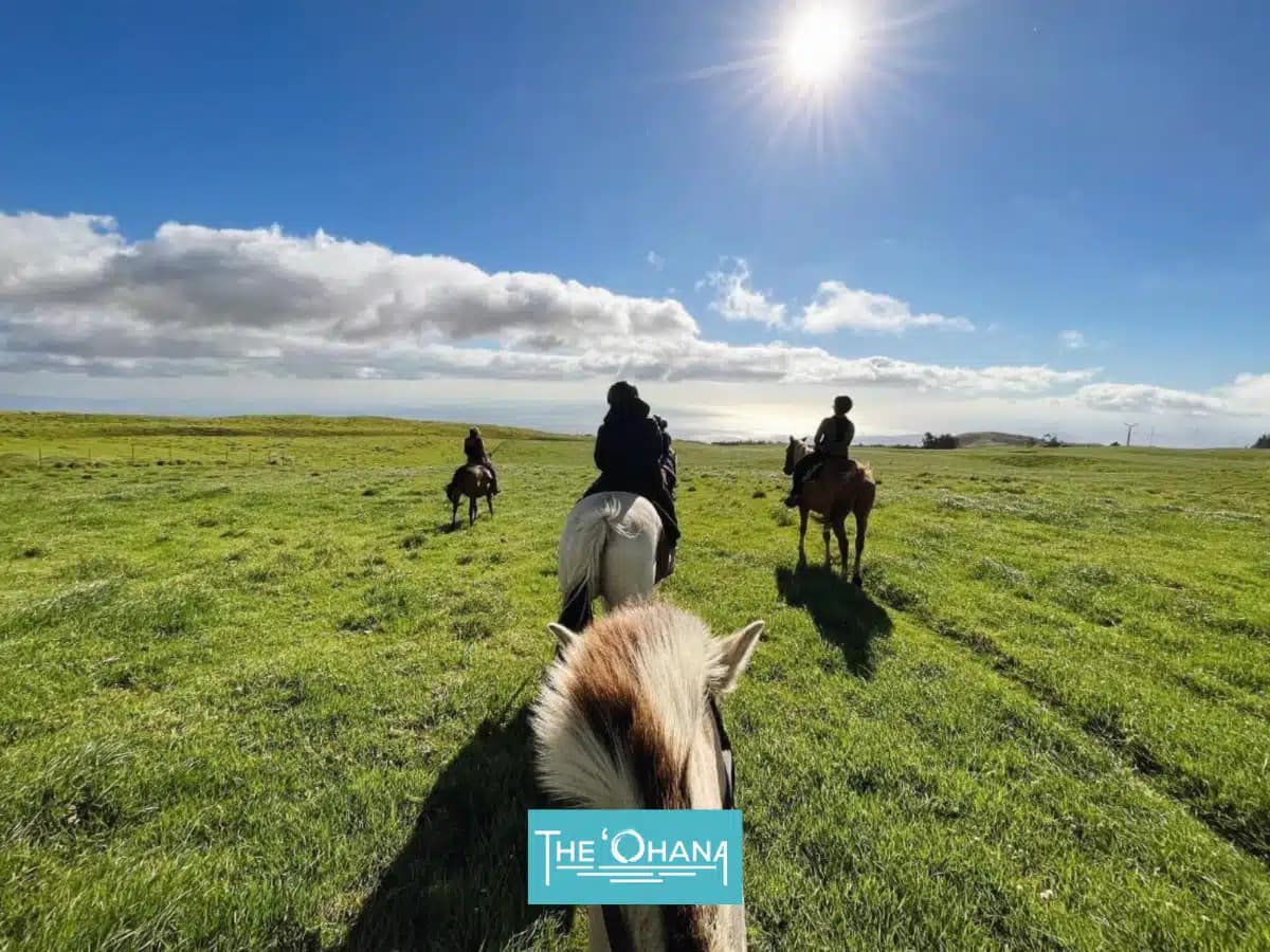 Lokahi Treatment Centers - Thumbnail 9