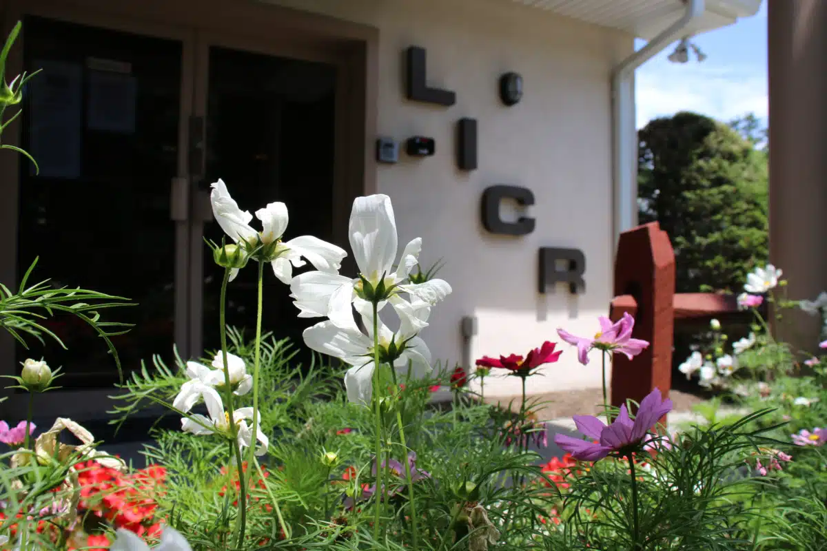 Long Island Center for Recovery Inc - Thumbnail 5