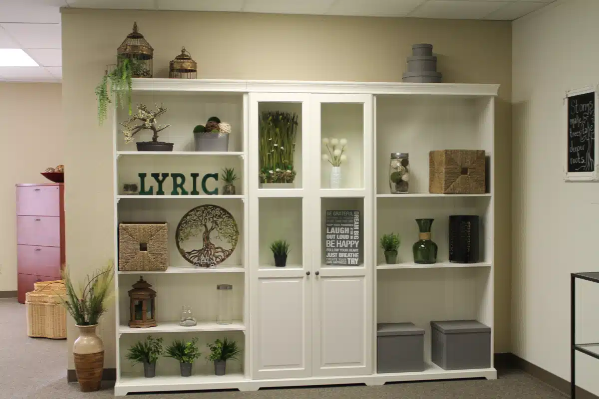 Lyric Recovery Services Inc - Thumbnail 2