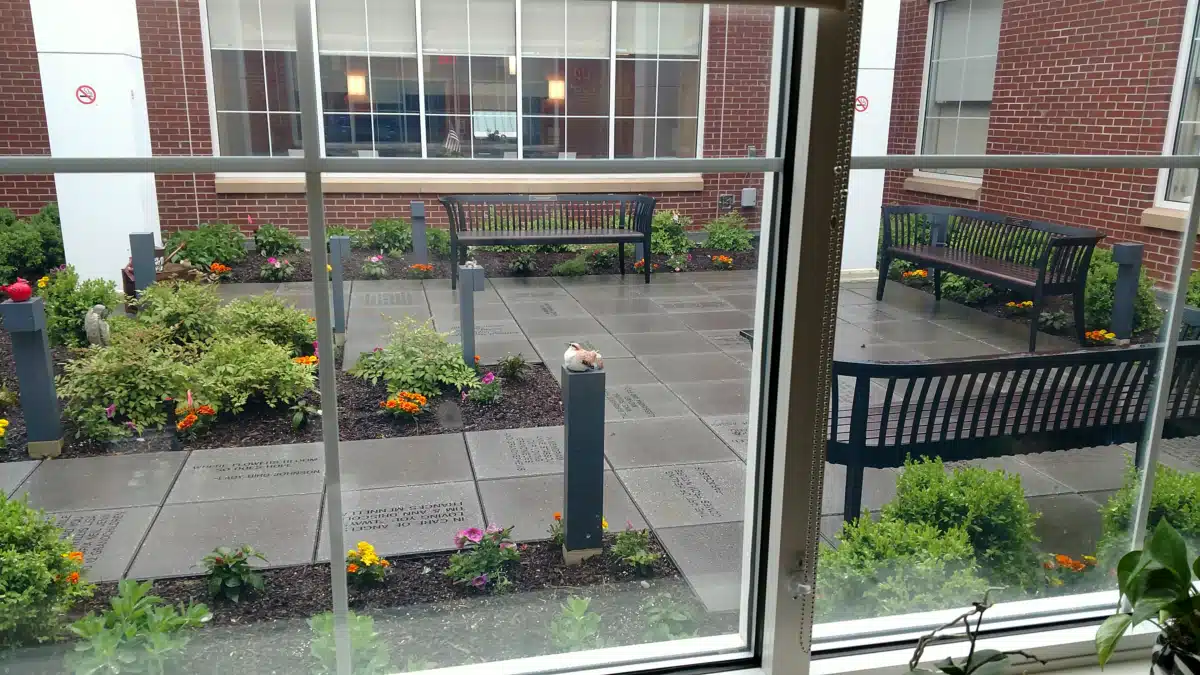 Mather Hospital Northwell Health - Thumbnail 7