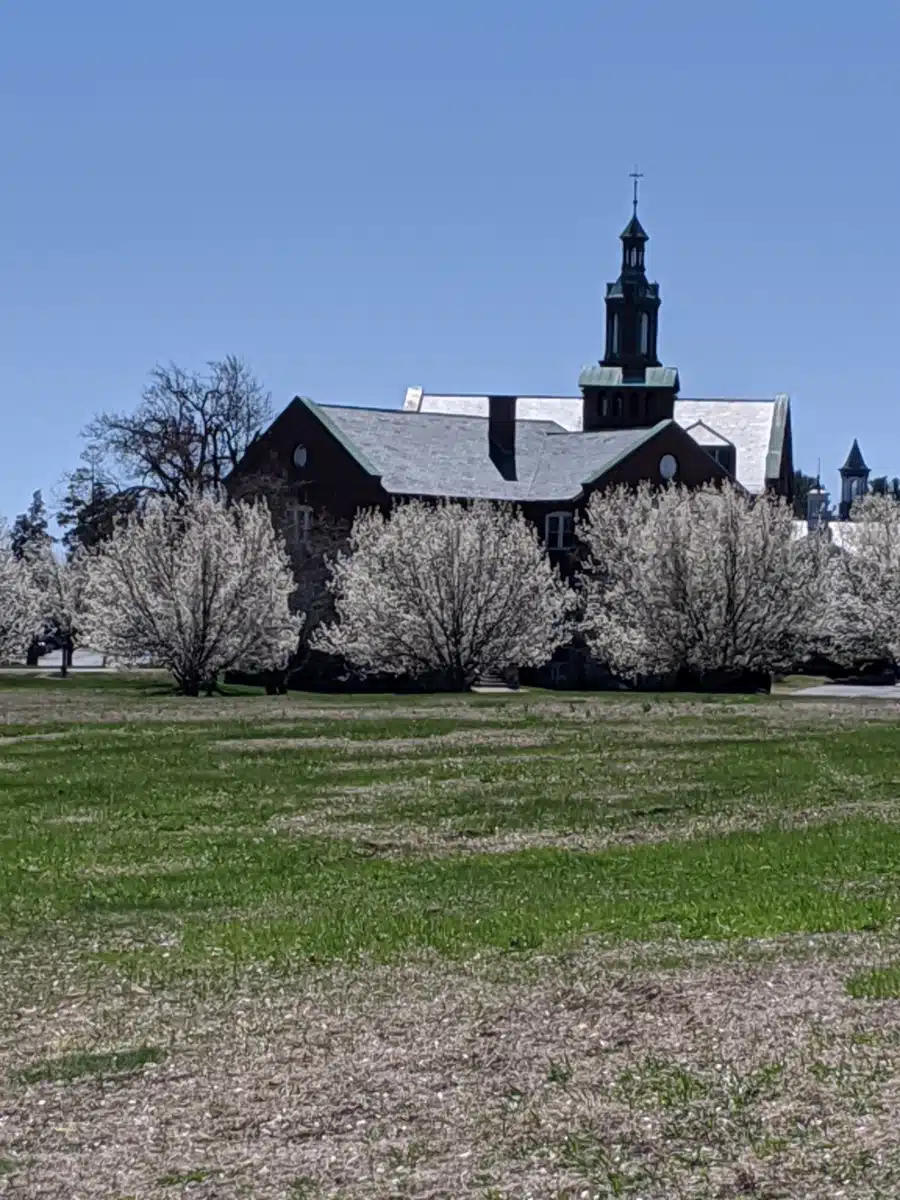 Middlesex Human Service Agency Inc - Thumbnail 7