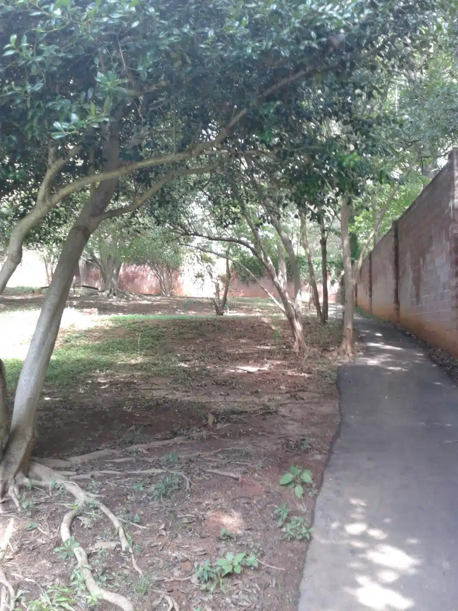 Miracle Hill - Thumbnail 7