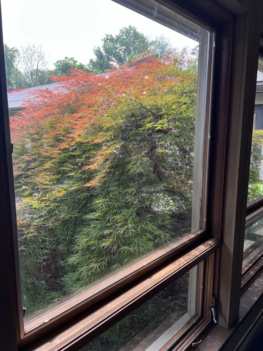 Mirmont Treatment Center - Thumbnail 5