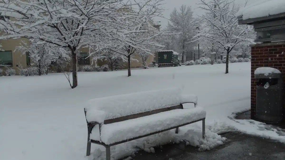 Montefiore Medical Center - Thumbnail 3