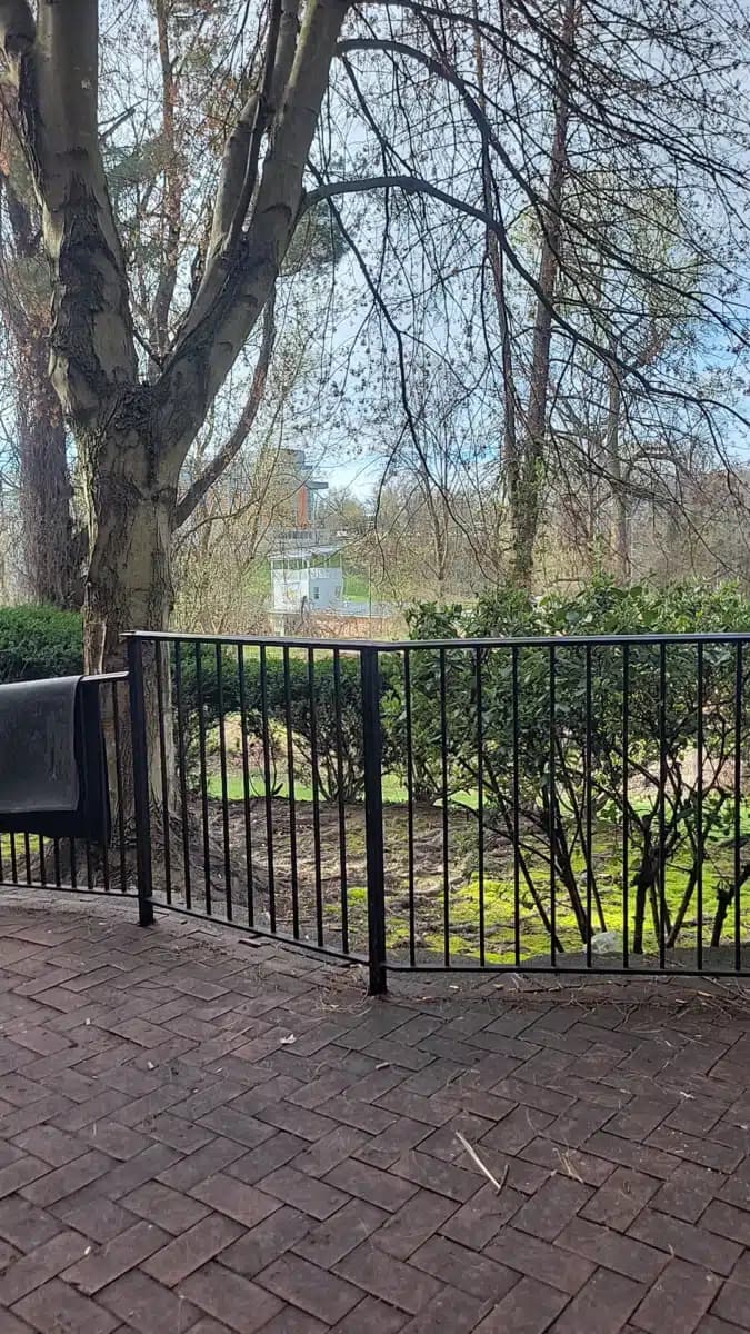 Mosaic Community Services