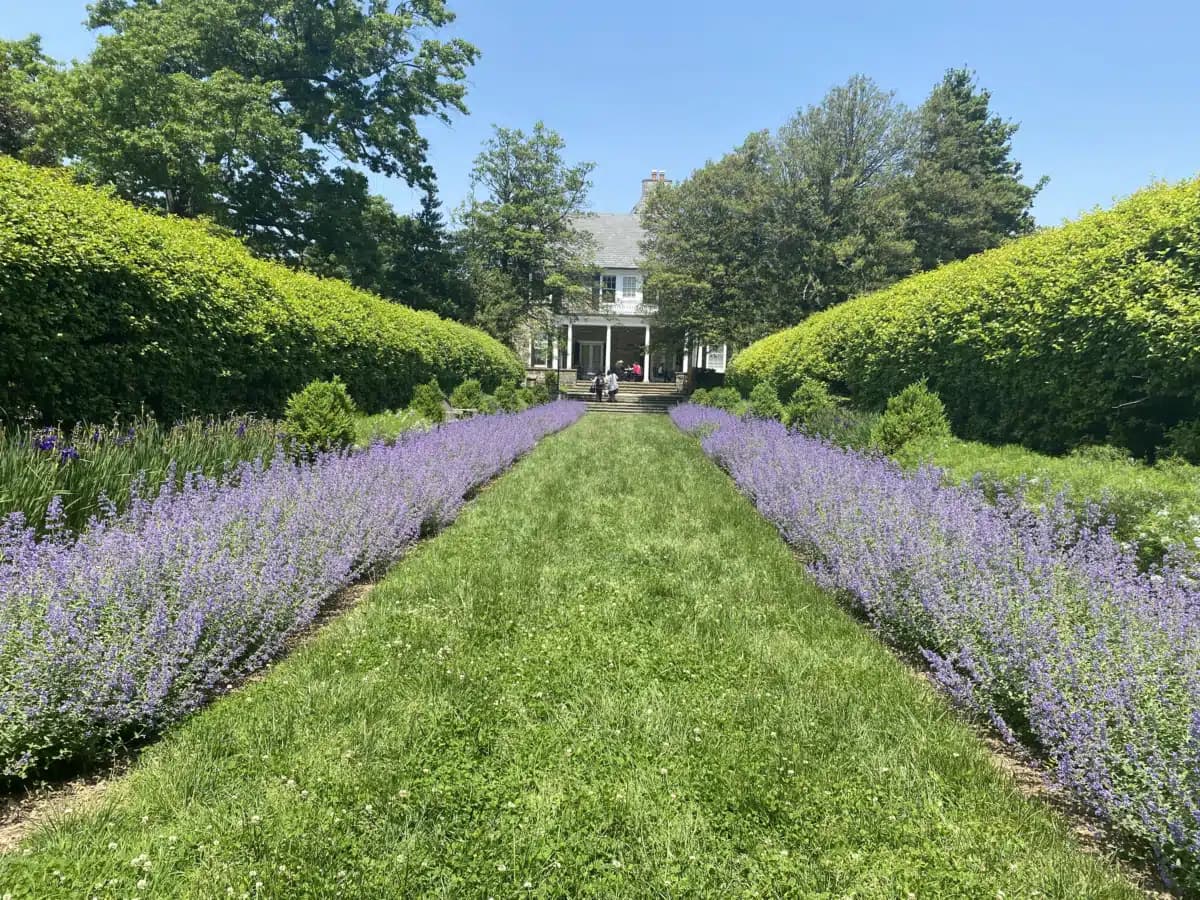 National Institutes of Health - Thumbnail 6