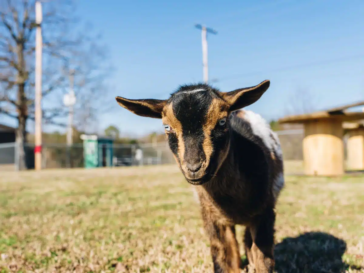 Natural State Recovery Centers - Thumbnail 8