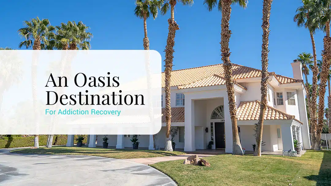 Nestled Recovery Center - Preview