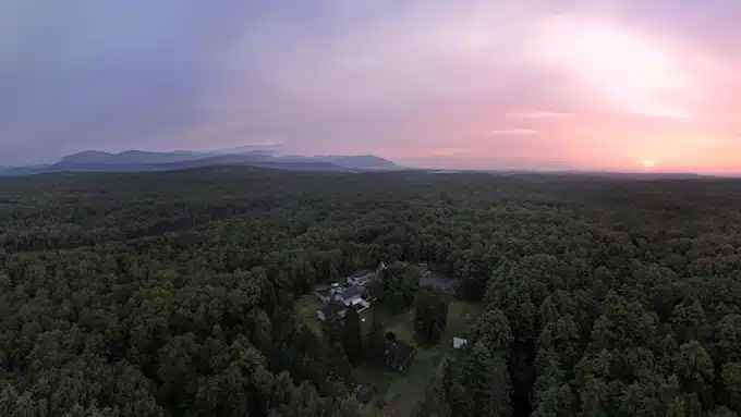 Never Alone Inc - Hero Image