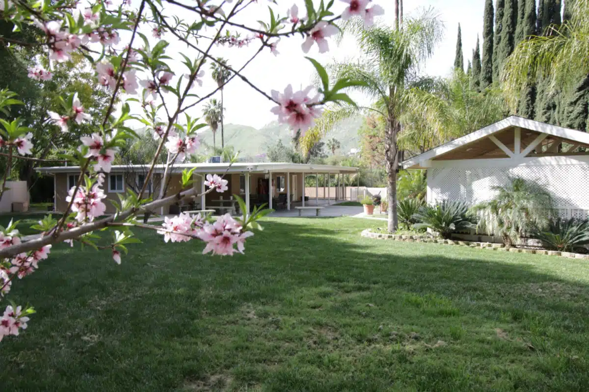 New Creation - Thumbnail 6