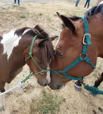 New Day Inc - Thumbnail 5