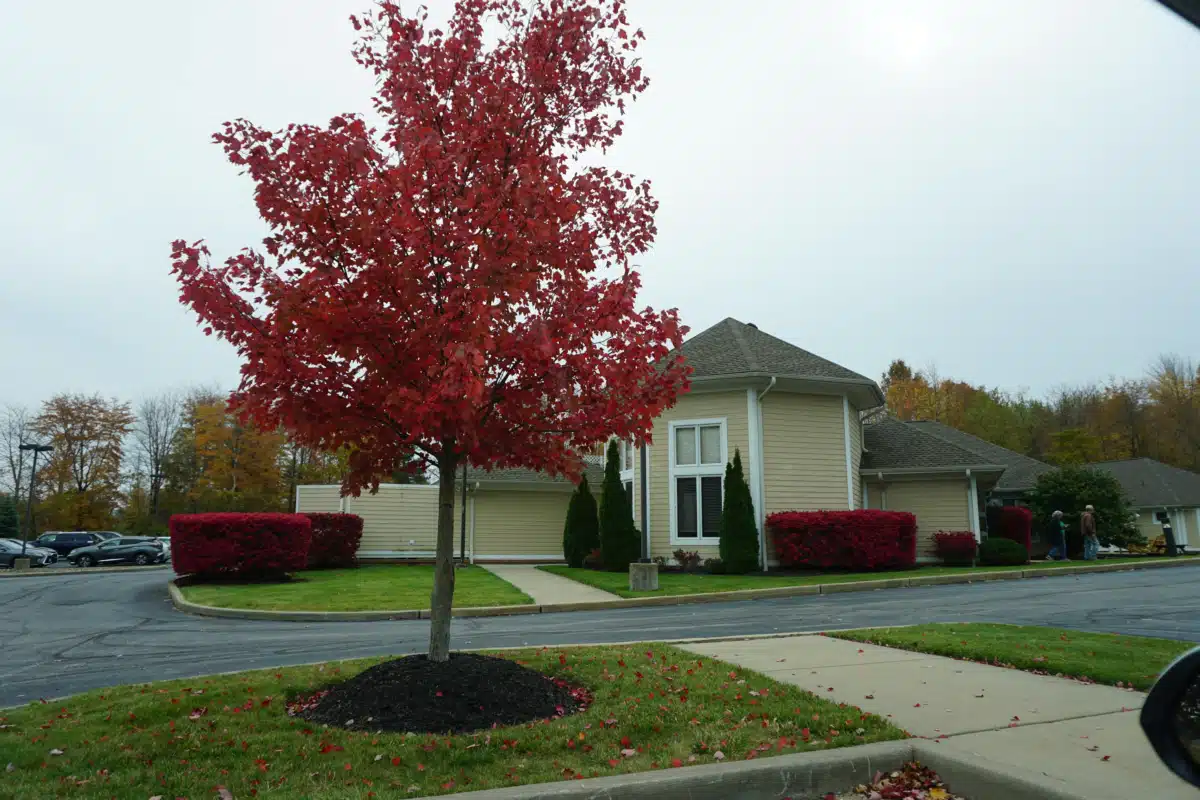 New Directions Inc - Thumbnail 3