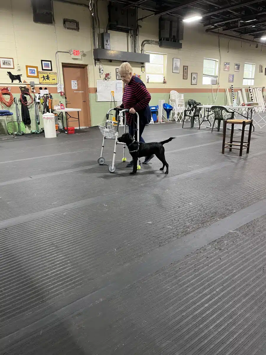 New England Counseling Services LLC - Thumbnail 4