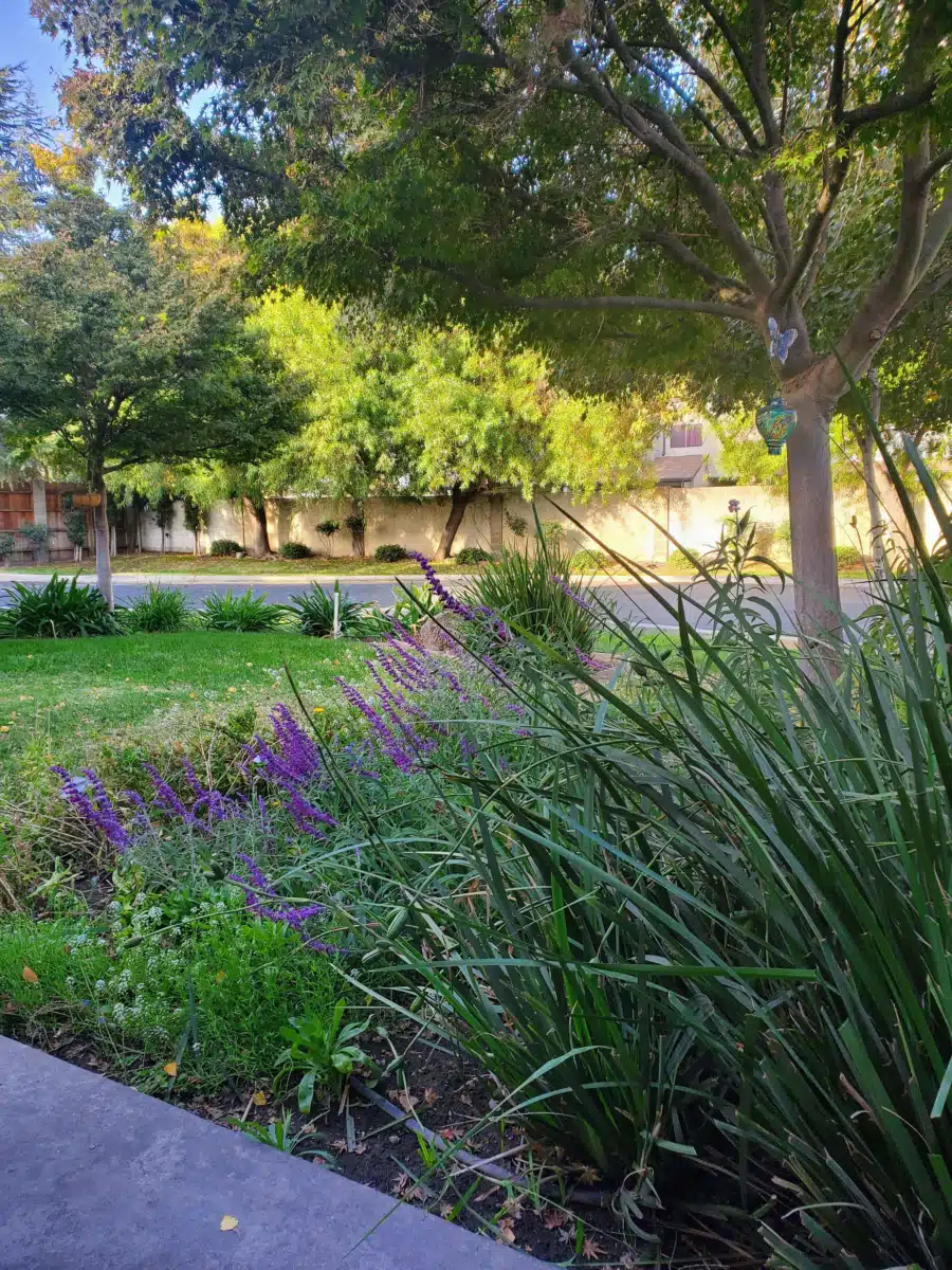 New Hope Recovery - Thumbnail 7