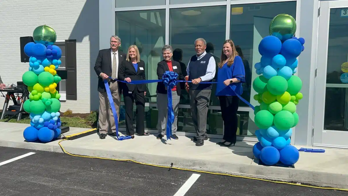 New Vista - Thumbnail 3