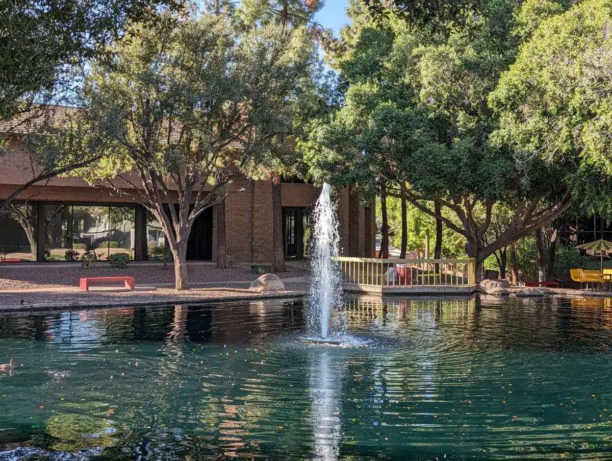 NorthSight Recovery - Thumbnail 2