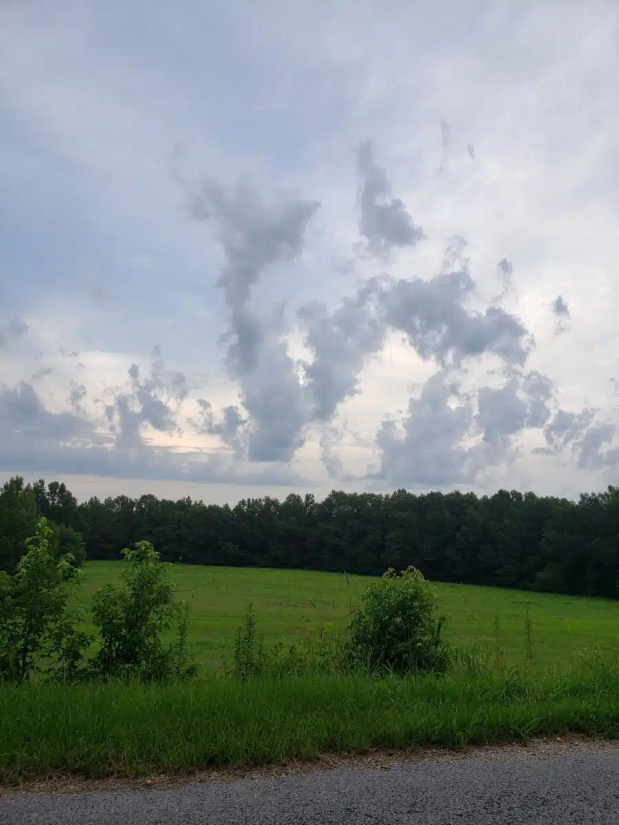 Northwest Alabama Mental Health Ctr - Thumbnail 3