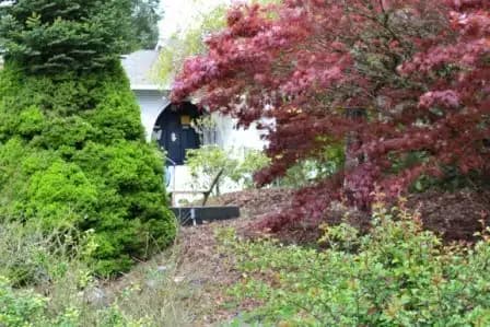 Pacific Ridge - Thumbnail 7