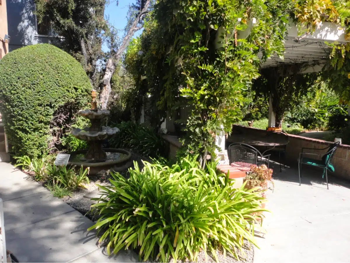 Pasadena Council on Alcoholism and - Thumbnail 6