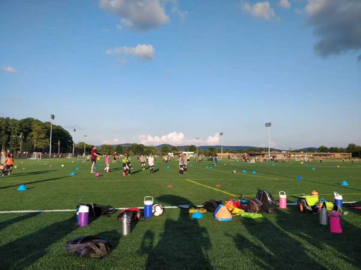 Pathfinder Inc - Thumbnail 4