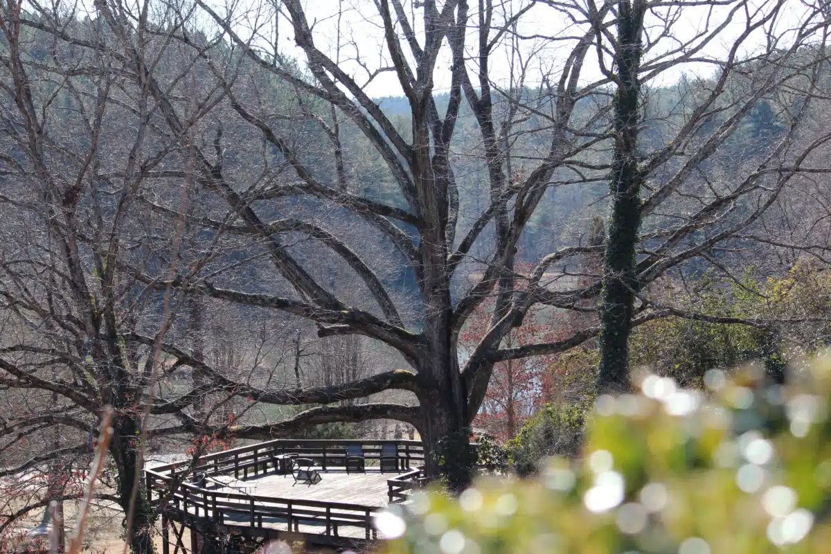 Pavillon - Thumbnail 3