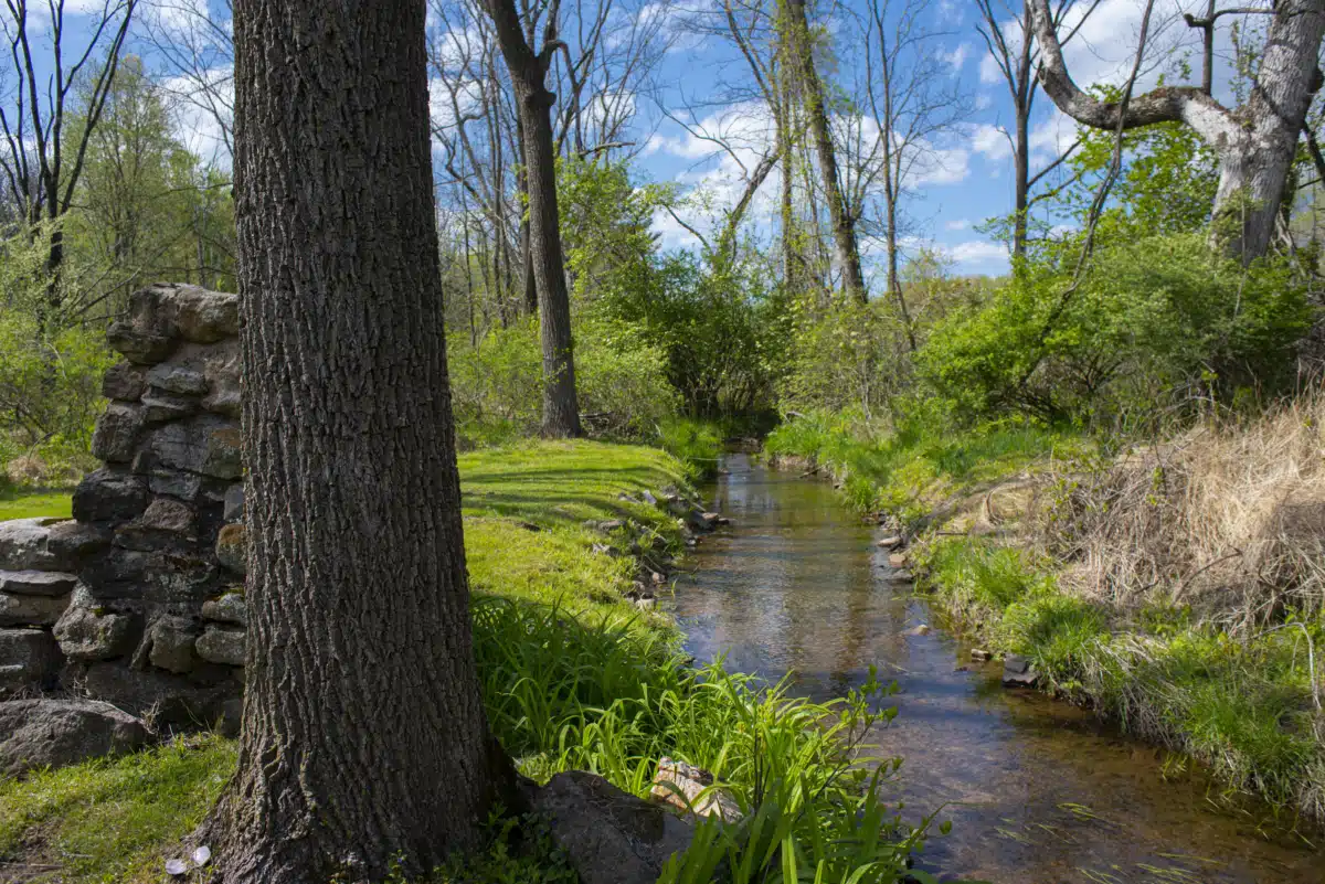 Peace Valley Recovery - Thumbnail 7